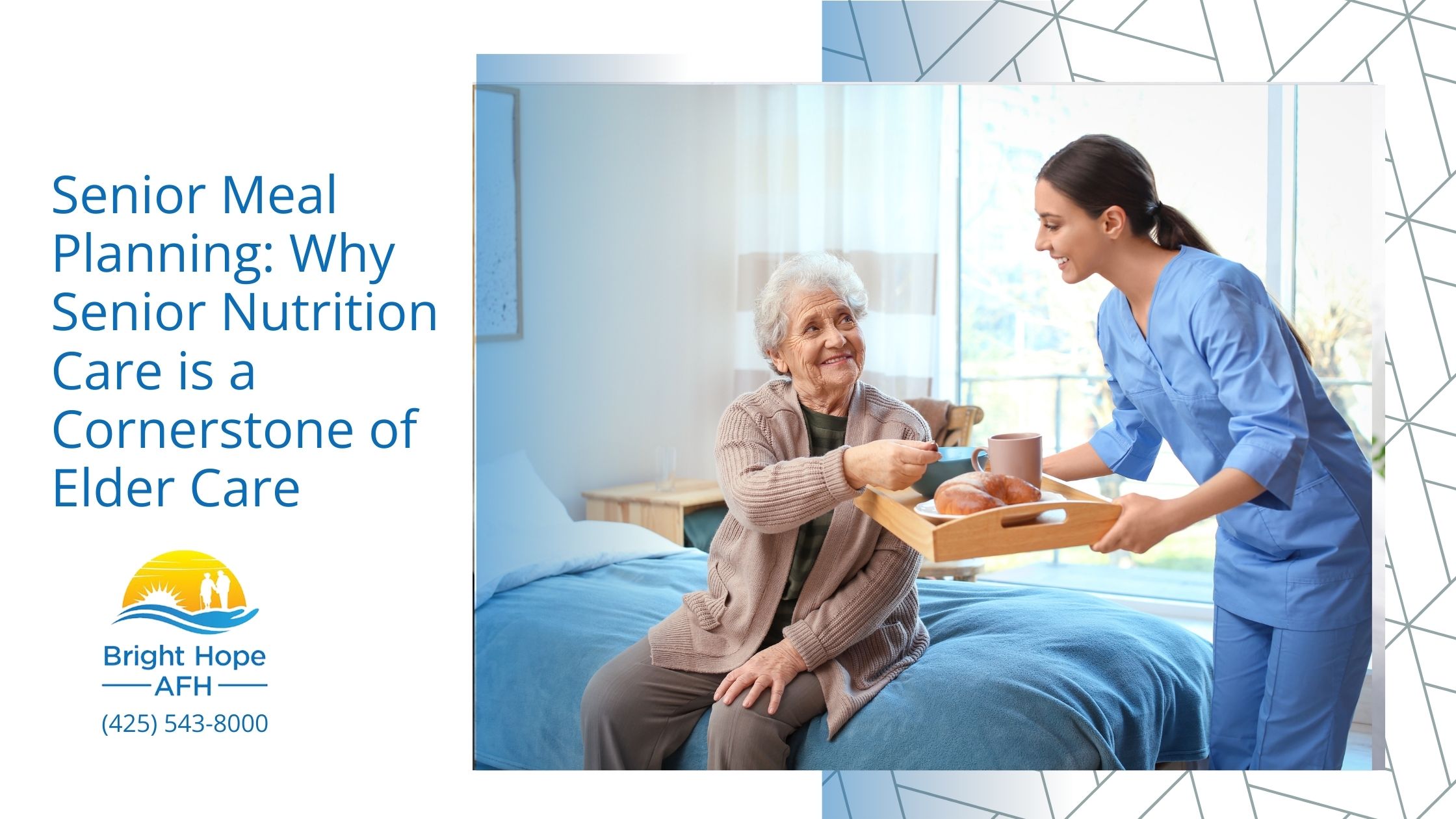 senior meal planning why senior nutrition care is a cornerstone of elder care